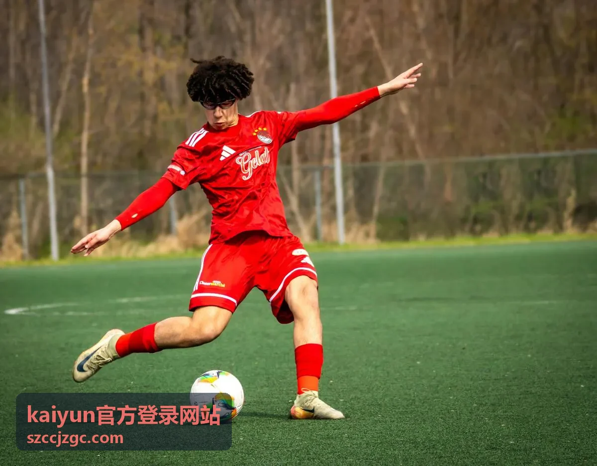 kaiyun官方登录网站移动端登录入口示意