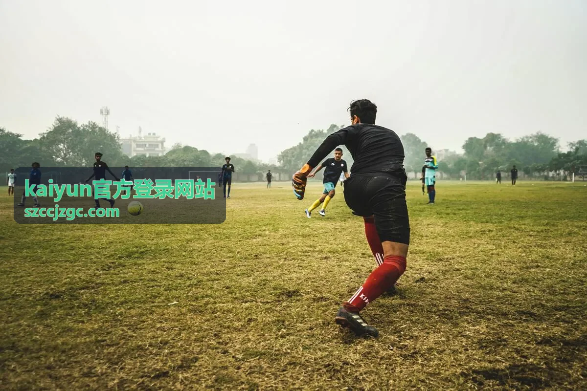 kaiyun官方登录网站登录记录与设备授权核对的页面示意