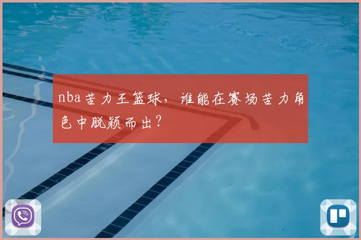 nba苦力王篮球，谁能在赛场苦力角色中脱颖而出？