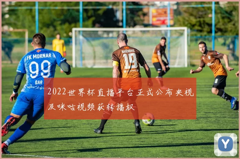 2022世界杯直播平台正式公布央视及咪咕视频获转播权