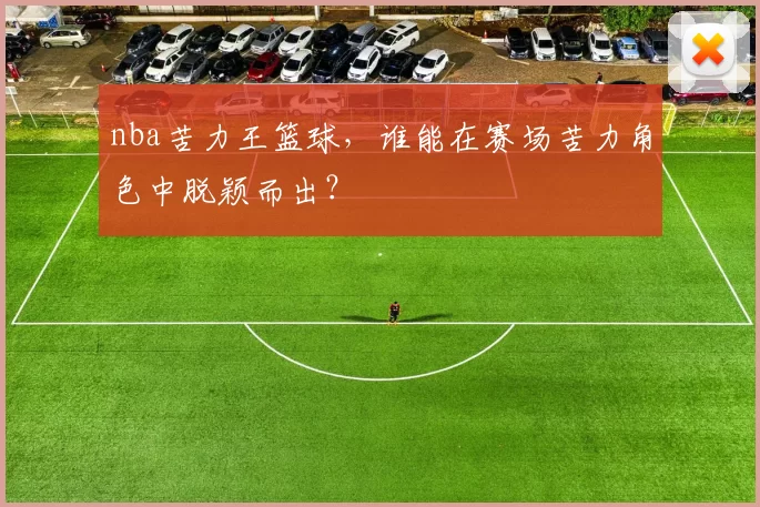 nba苦力王篮球，谁能在赛场苦力角色中脱颖而出？