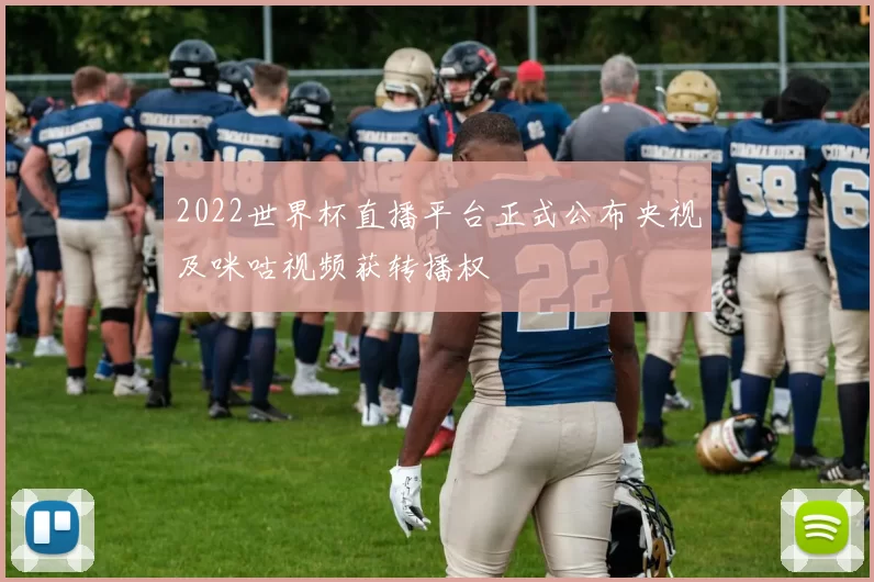 2022世界杯直播平台正式公布央视及咪咕视频获转播权