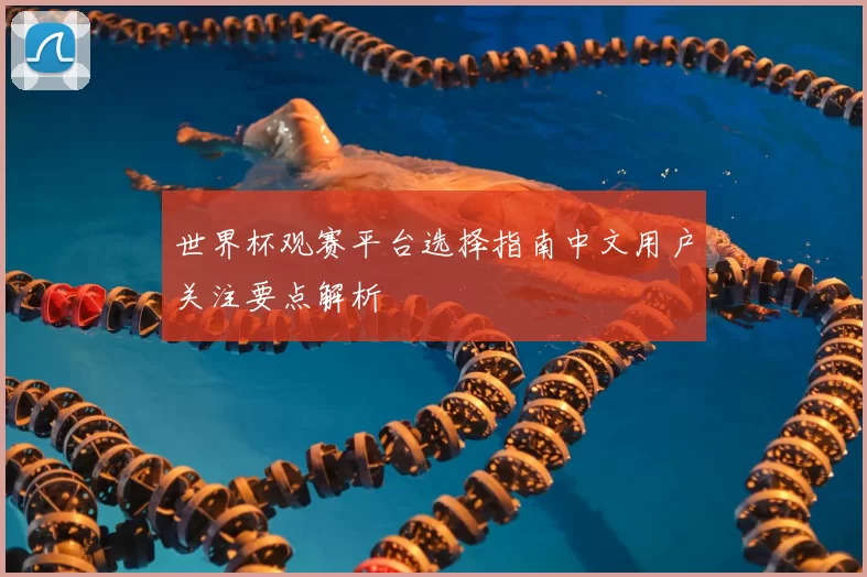 世界杯观赛平台选择指南中文用户关注要点解析