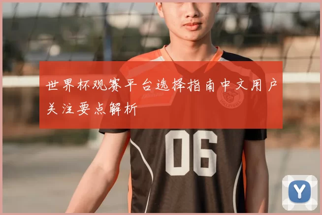 世界杯观赛平台选择指南中文用户关注要点解析