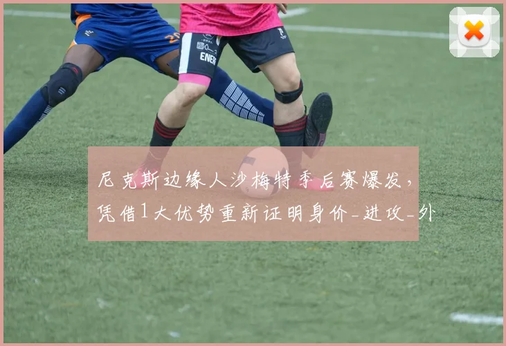 尼克斯边缘人沙梅特季后赛爆发,凭借1大优势重新证明身价_进攻_外线投篮_篮网