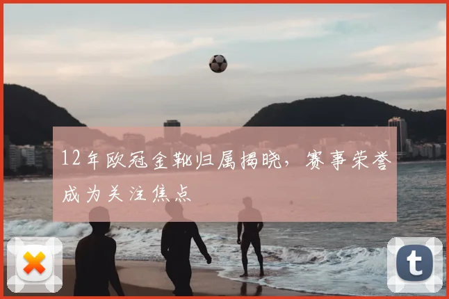 12年欧冠金靴归属揭晓,赛事荣誉成为关注焦点