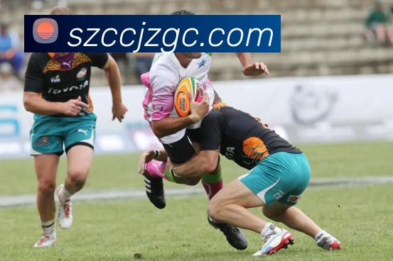 星空网官方网址入口平台生态图